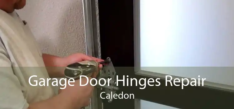 Garage Door Hinges Repair Caledon