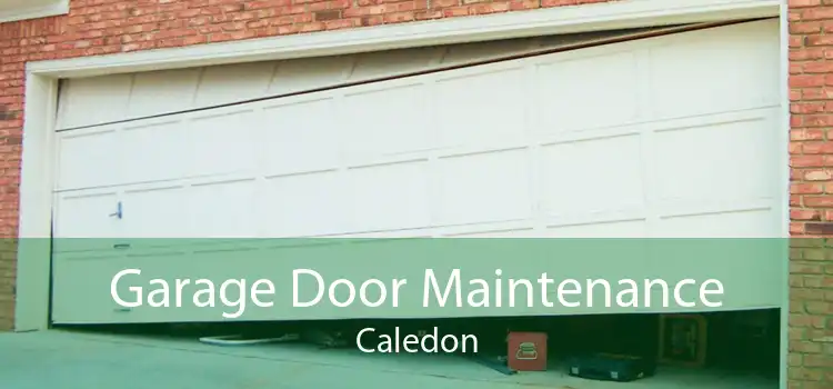 Garage Door Maintenance Caledon
