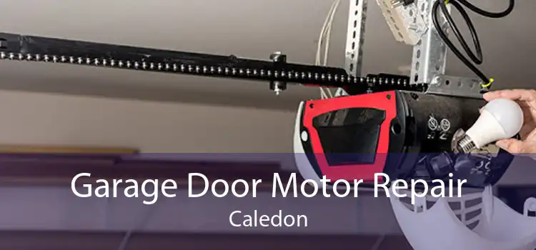 Garage Door Motor Repair Caledon