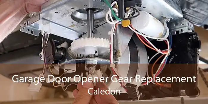 Garage Door Opener Gear Replacement Caledon