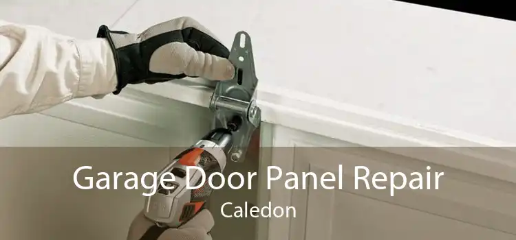Garage Door Panel Repair Caledon