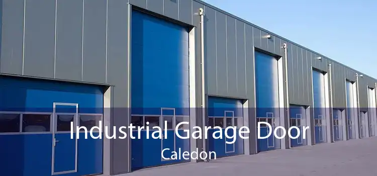 Industrial Garage Door Caledon