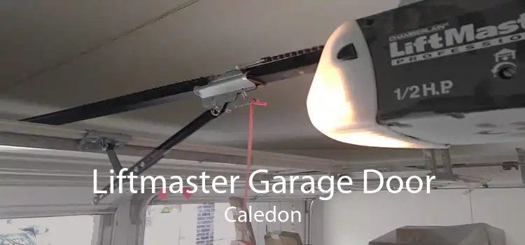 Liftmaster Garage Door Caledon